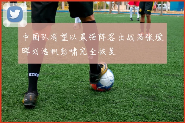 中国队有望以最强阵容出战若张瑷晖刘浩帆彭啸完全恢复